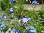 20170520_122656.jpg