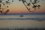 IMG_0557.jpg
