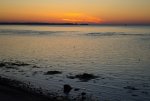 IMG_0573.jpg