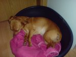 DSC00670.JPG