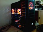 DSC00613.jpg