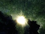 crysis64 2009-08-18 17-58-48-93.jpg