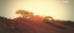 dirt3_game 2011-06-03 03-31-15-07.jpg