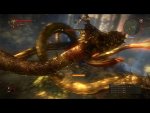 witcher2 2011-06-02 10-30-43-88.jpg