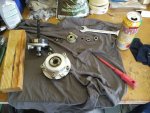 IMG_20170604_160051.jpg