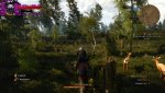 witcher3_2017_06_05_10_03_01_372.jpg
