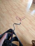 IMG_20170606_194504.jpg