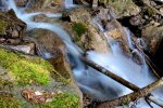 DSC_2932s.jpg