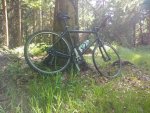 bike im wald.jpg