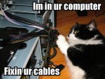 cats-fixing-computer-25119.jpg