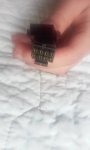 19553454_10212141676631190_1948919939_n.jpg