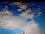 IMG_20170629_195155.jpg