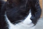 IMGP8911_PCGH Crop.jpg