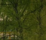 crop1 s8.jpg
