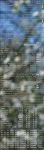 Screenshot_20170704_231010.png