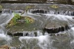 IMG_3140.jpg