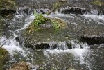 IMG_3136.jpg