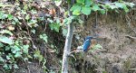 IMG_3216_Fotor.jpg