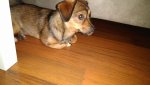 IMG_20170709_225754.jpg