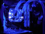 GorgTech-Emblems-06.jpg