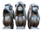 686fdec8bc3d76f06d9792befb7a1aaa--monkey-illustration-search-engine.jpg