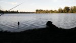 IMG_20170729_191014.jpg