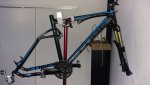IMG_20170731_215559.jpg