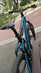 IMG_20170802_170953.jpg