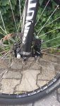 IMG_20170804_183634.jpg