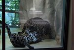 IMG_2221.jpg