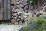 IMG_2369.jpg
