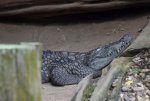 IMG_2412.jpg