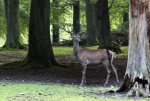 IMG_2445.jpg