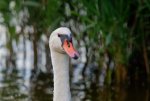 D80_3225_DxO.jpg