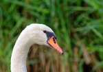D80_3230_DxO.jpg