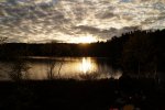 DSC02292.jpg