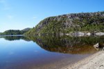 DSC02594.jpg