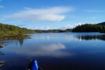DSC02340.jpg
