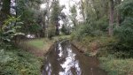 IMG_20170813_153354.jpg