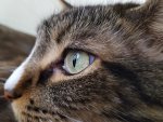 20170811_115218.jpg