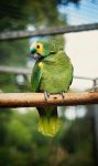 DSC07024-1.jpg