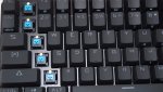 DSC00011.jpg