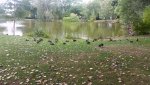 20170909_113521.jpg
