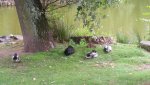 20170909_113759.jpg