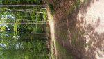 20170910_145812.jpg