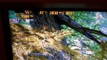 20170914_074439.jpg
