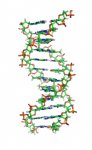 DNA_orbit_animated.jpg