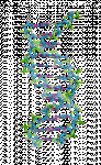 dna-rna-double-helix-rotating-animation-13-3.gif