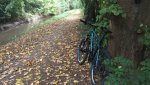 IMG_20170930_175748.jpg