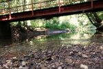 Brücke_upload.jpg